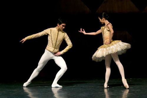 精品藝術齊綻放 白云機場迎新年文藝演出即將盛大啟幕